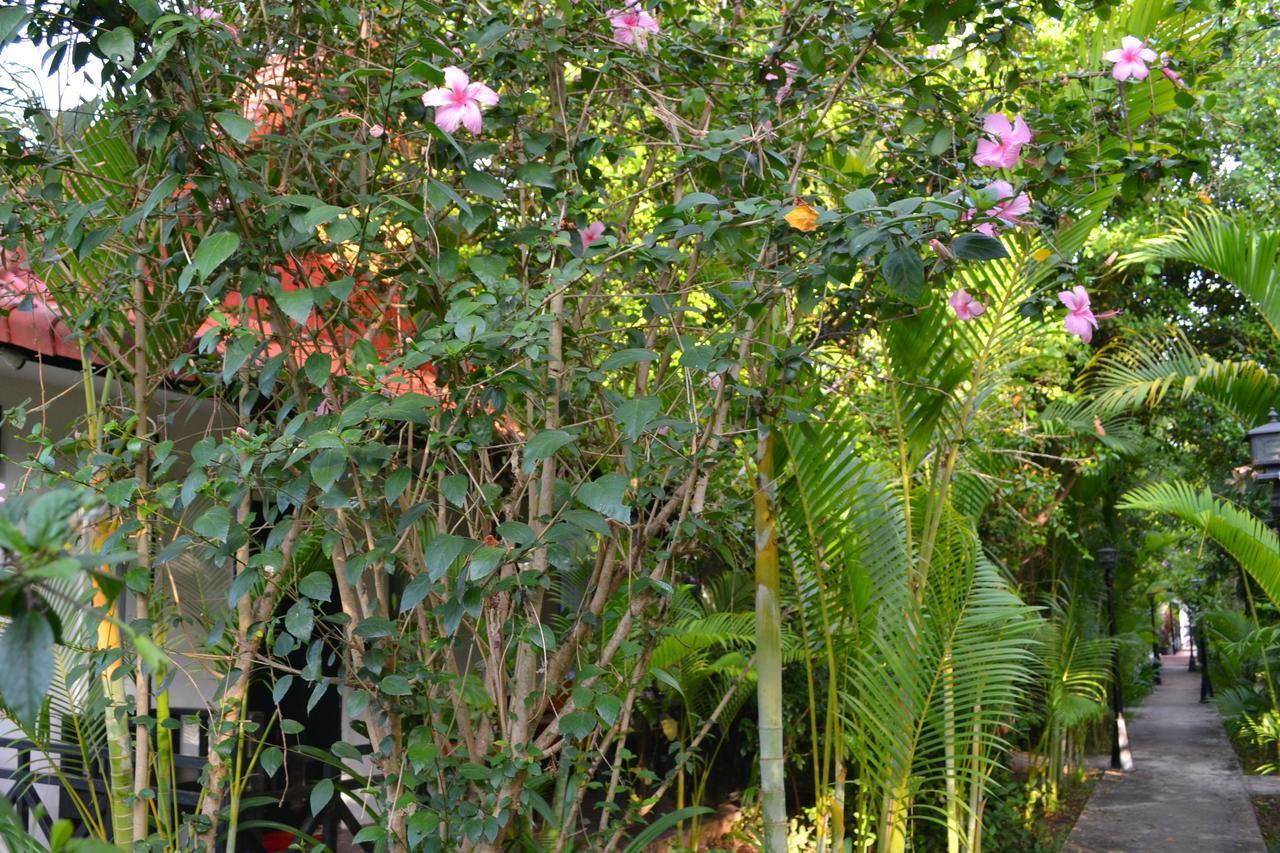 Nature Boutique Residence Σιέμ Ρέαπ Εξωτερικό φωτογραφία