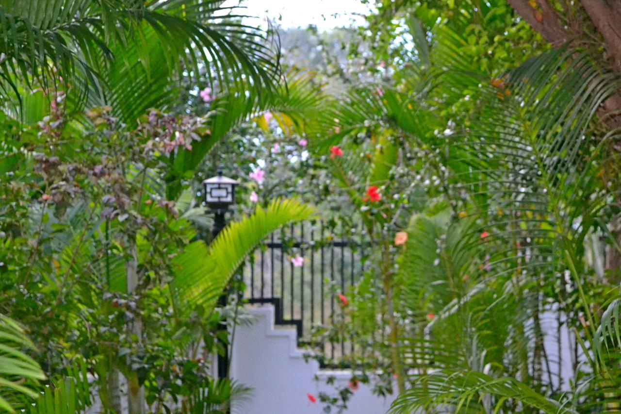 Nature Boutique Residence Σιέμ Ρέαπ Εξωτερικό φωτογραφία